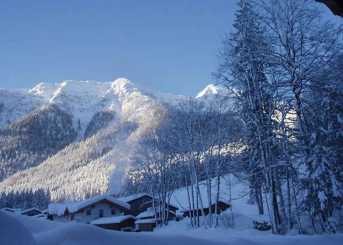 Jochberg Mountain View 公寓 因泽尔