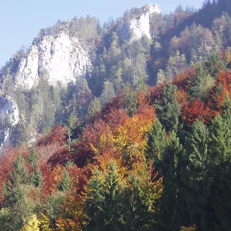 Apartment Jochberg Mountain View Inzell