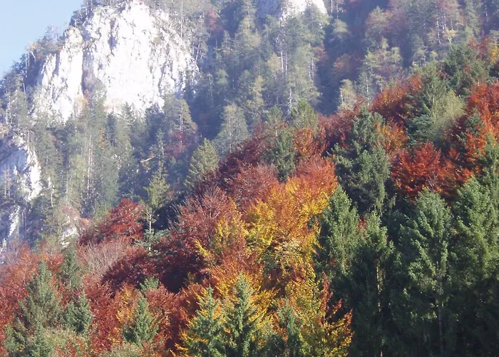 Apartamento Jochberg Mountain View Inzell